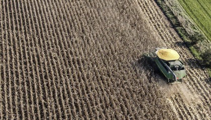 美媒:中国对美国食用油出口本就大幅下降,特朗普的威胁影响甚微