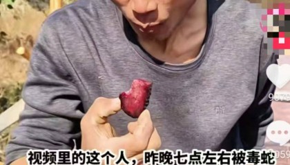 湖南网红直播抓银环蛇被咬伤，疑因嫌注射血清贵独自离开，好友：如果不是炒作就很危险