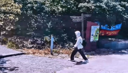 深圳登山失联约70天,27岁男子遗体疑被找到已遇难,其位于一块大石头下,家属回应