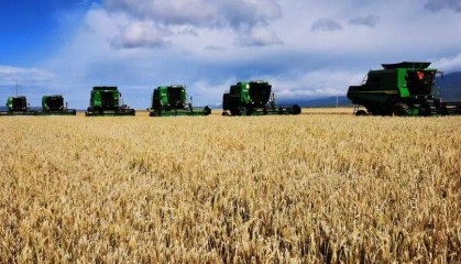 海北已完成农作物秋收任务八成以上