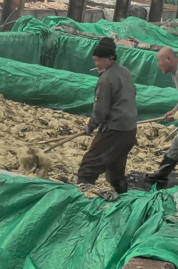 辽宁葫芦岛一男子酸菜池中抽烟吐痰,曝光视频令人反胃!省市两级市监介入