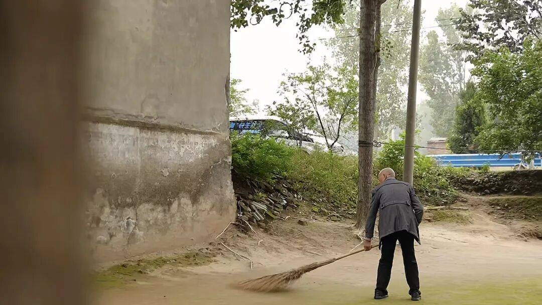 河南66岁大爷500平院子凭 “极致干净” 成网红打卡点，网友来时他满脸笑容带进参观