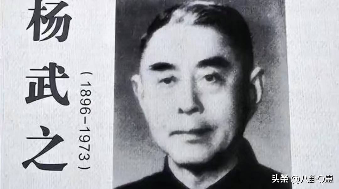 不查不知道，一查吓一跳！杨振宁的弟弟杨振汉，人生活的这么精彩