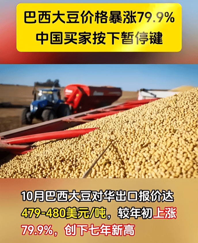反制升级了!巴西大豆被中国停购后,转身就对中企下狠手,中方亮明态度