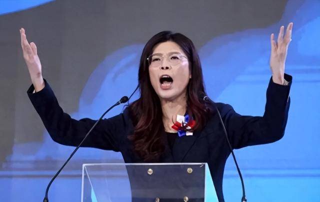 郑丽文:台湾在最危险时刻,两岸必须和平稳定,否则一切都免谈!